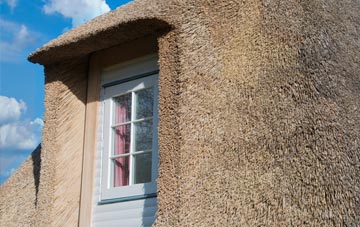 Glasshouse thatch roof disadvantages